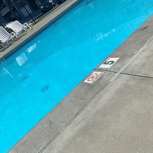 Meet your Posher, Griffin